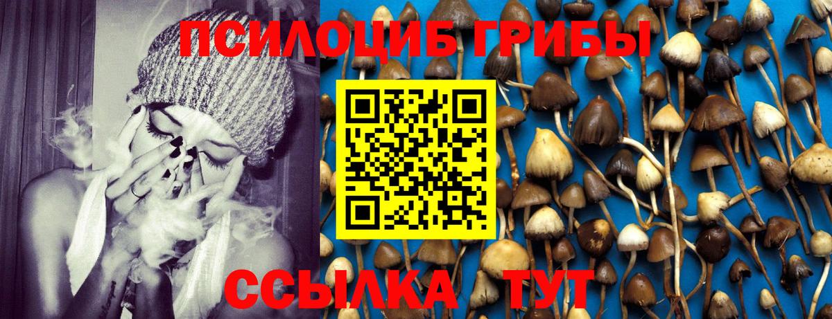 Орск  Галлюциногенные грибы Psilocybe  Вход с VPN 