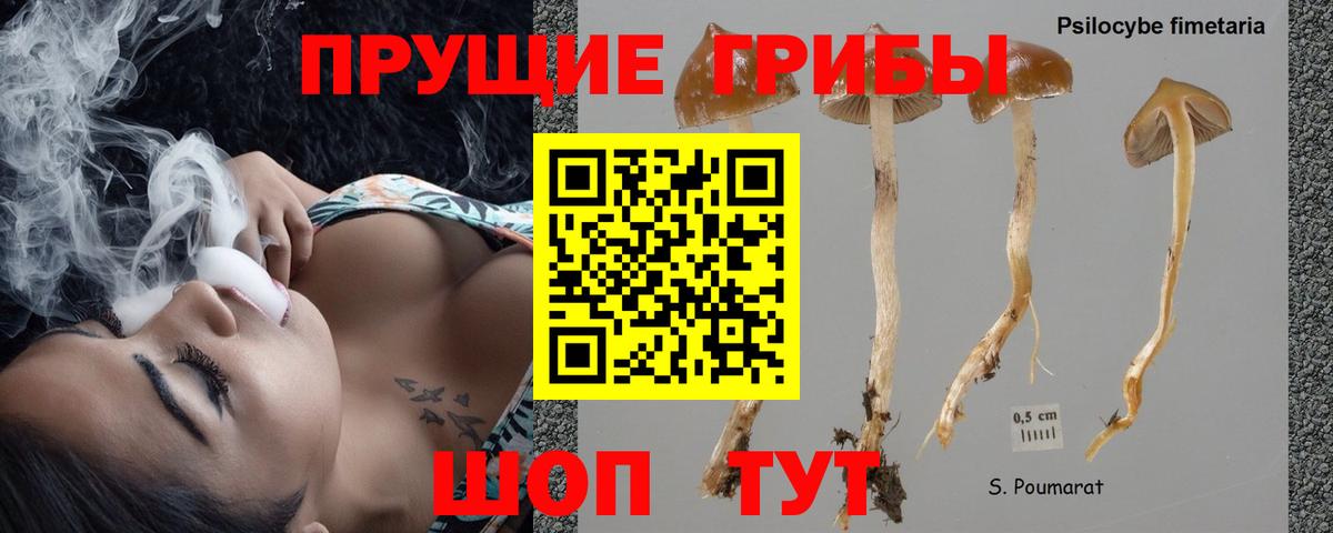 Псилоцибиновые грибы MAGIC MUSHROOMS Орск